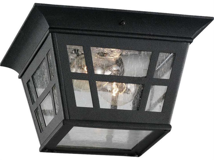 Sea Gull Lighting Herrington Black 2 Glass Outdoor Ceiling Light