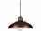 Sea Gull Lighting Painted Shade Brushed Stainless 1 Pendant  SGL651998