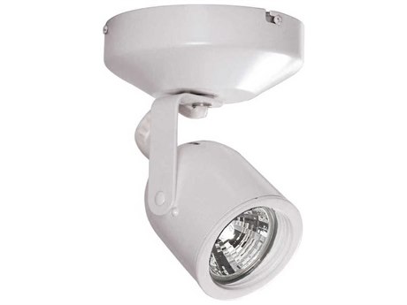 WAC Lighting Spot White LED Cylinder Light