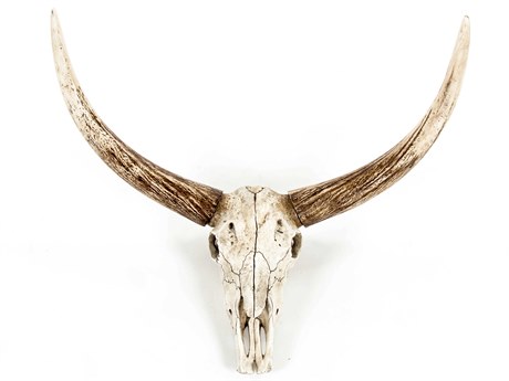 Zentique Distressed White / Brown Bull Skull 3D Wall Art