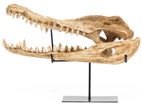 Zentique Antique Beige / Black Alligator Skull Sculpture