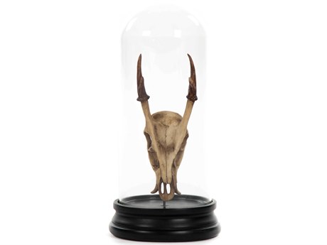 Zentique Antique Off-White / Black Fawn Skull Sculpture