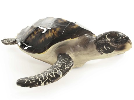 Zentique Black / Cream Sea 15" Turtle Sculpture