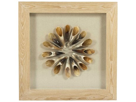 Zentique Ox Horn Shadow Box