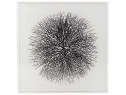 John Richard Tony Fey's Floating Shadow Box | JRJRO3237