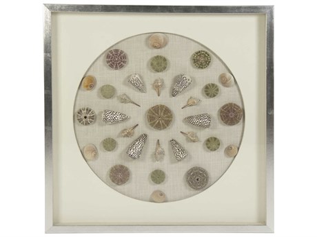 Zentique Assorted Shells Shadow Box