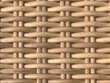 Cane