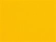 Sunflower Yellow