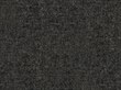 Coal