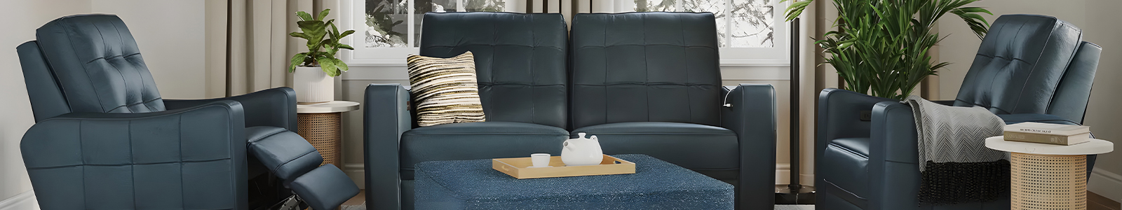 Palliser Furniture Banner